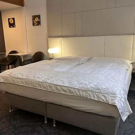 Hotel Machova 3*