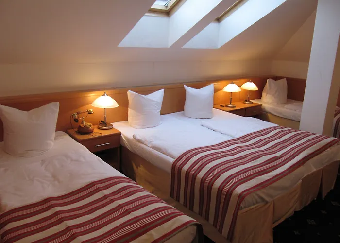 Hotel Machova 3*